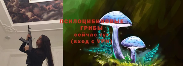 2c-b Краснотурьинск