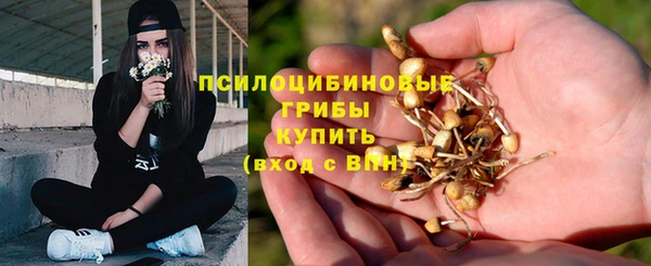2c-b Краснотурьинск