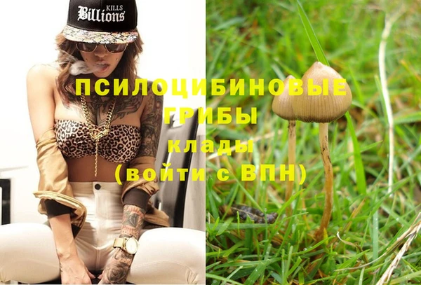 прущие крисы Кукмор
