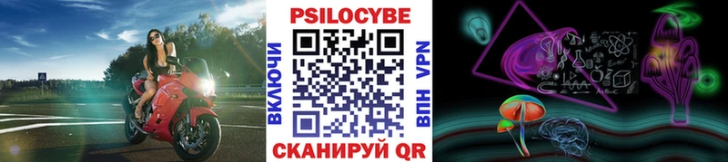 Псилоцибиновые грибы Psilocybine cubensis  Юрьевец 